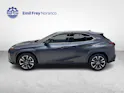 Lexus UX 250h Excellence + Ruote invernali