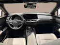 Lexus UX 250h Excellence + Ruote invernali