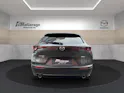 Mazda CX-30 eSX186 AT AWD Takumi Schiebedach Leder