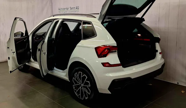 Škoda Kamiq 1.0 TSI Dynamic DSG