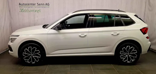 Škoda Kamiq 1.0 TSI Dynamic DSG
