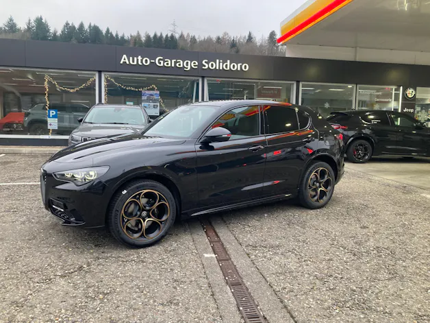 Alfa Romeo Stelvio 2.0 Intensa Q4 AT8