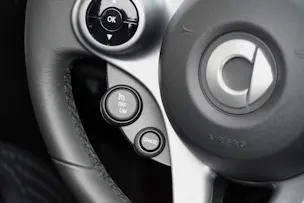 Smart fortwo EQ prime (incl. battery)