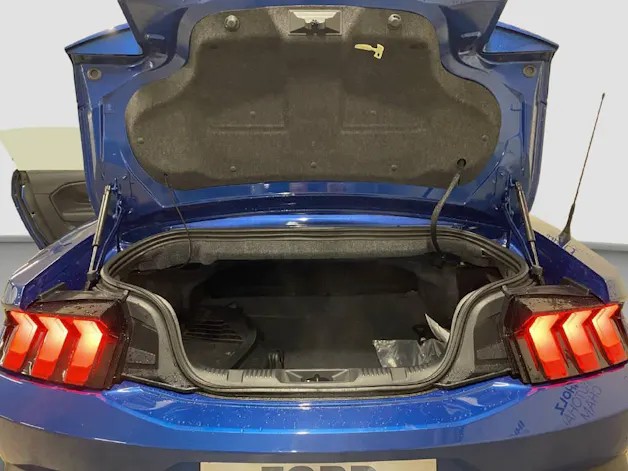 Ford Mustang Convertible 5.0 V8 GT