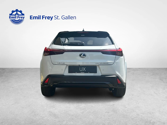 immagine del veicolo LEXUS UX