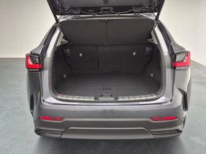 Fahrzeugbild LEXUS NX 450h+ Excellence