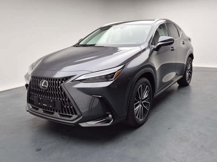Fahrzeugbild LEXUS NX