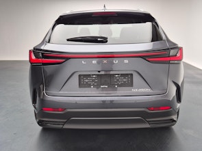 Fahrzeugbild LEXUS NX 450h+ Excellence