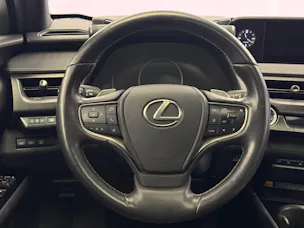 Lexus UX 300e Excellence
