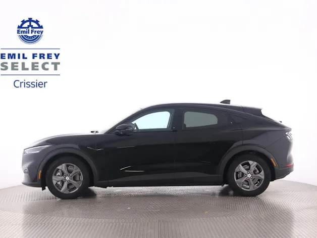 Ford Mustang Mach-E Standard