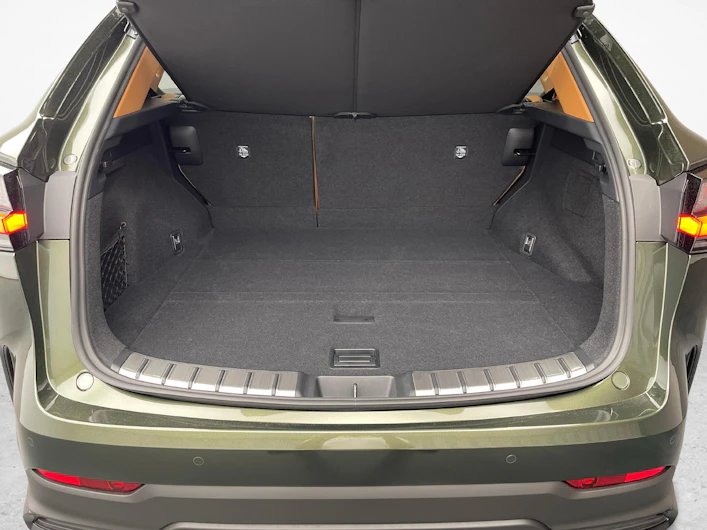 Fahrzeugbild LEXUS NX