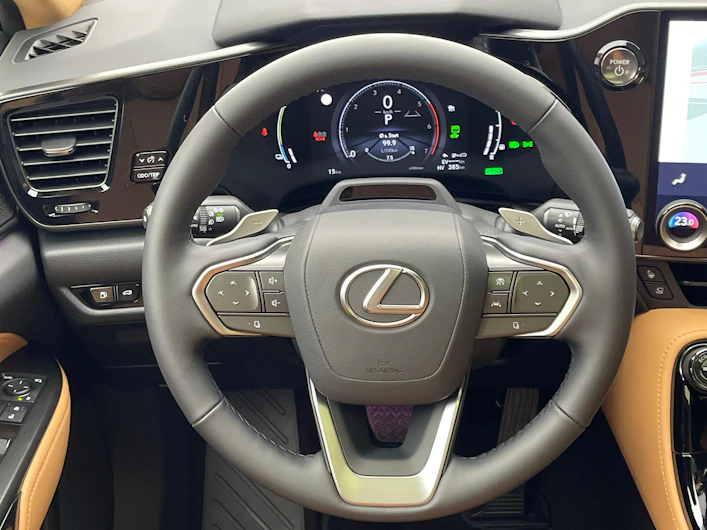 Fahrzeugbild LEXUS NX