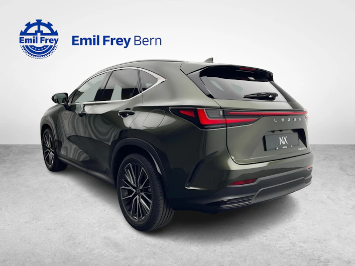 Fahrzeugbild LEXUS NX