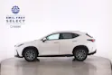 Lexus NX 450h+ Comfort