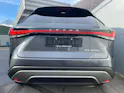 Lexus RX 450h+ Excellence