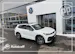 VW Tiguan 2.0 TSI DSG R-Line 4Motion