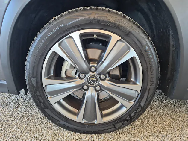 Lexus UX 300e Excellence
