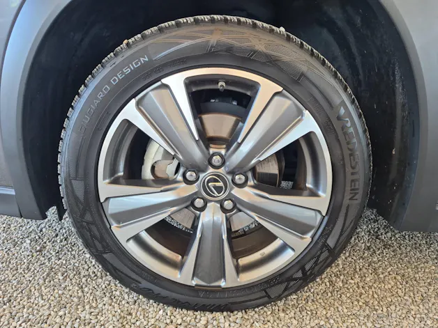 Lexus UX 300e Excellence