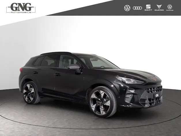 Cupra Terramar 2.0 TSI DSG 4Drive VZ