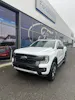Ford Ranger dcab.pick-up 3.0 EcoBlu Wildtrack/240CV/Aut.