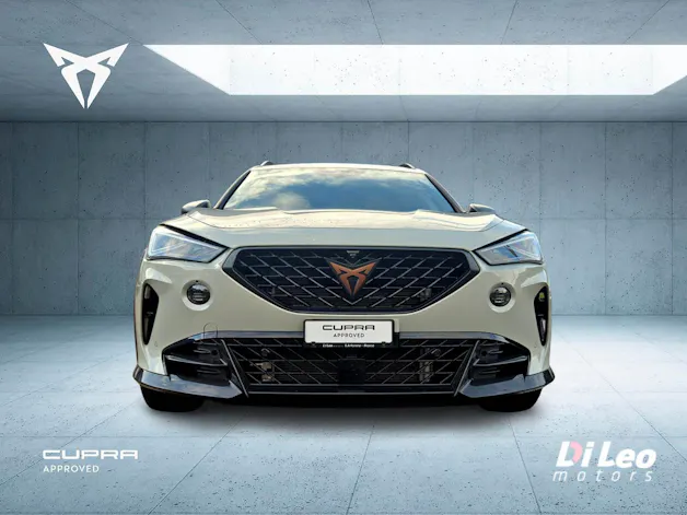 Cupra Formentor 2.5TSI VZ5 Taiga Grey 4Drive DSG