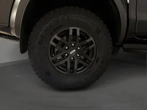 Ford Ranger DKab.Pick-up 2.0 EcoBlue 4x4 Raptor