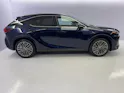 Lexus RX 450h+ Excellence