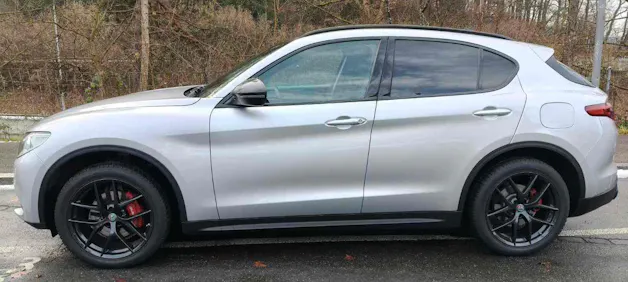 Alfa Romeo Stelvio 2.0 Q4 B-Tech