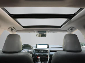 Fahrzeugbild LEXUS RX 450h X