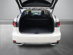 Lexus RX 450h X