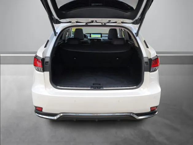 Lexus RX 450h X