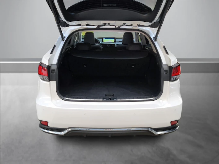 Fahrzeugbild LEXUS RX