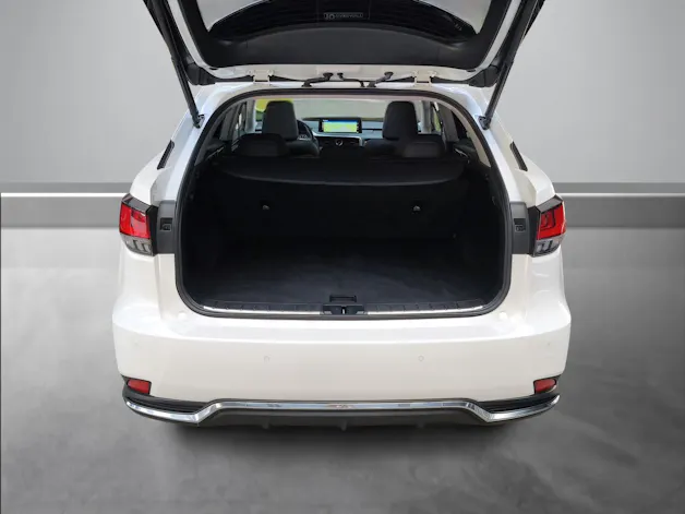 Lexus RX 450h X