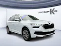 Škoda Kamiq 1.0 TSI Clever DSG