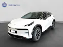 ZEEKR X Privilege AWD