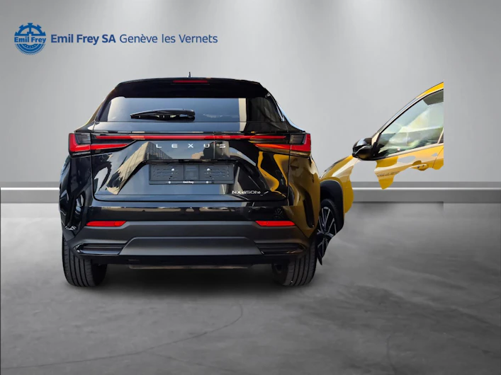 immagine del veicolo LEXUS NX
