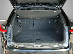 Lexus NX 450h+ Excellence