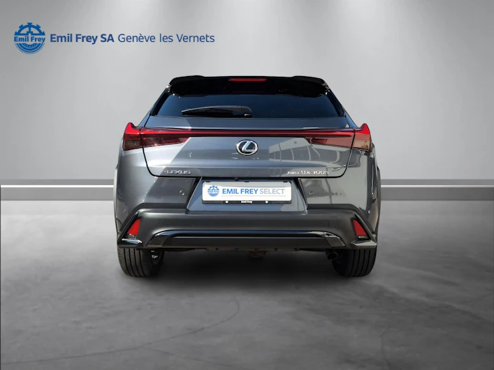 Fahrzeugbild LEXUS UX