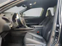 Lexus UX 300h F-Line