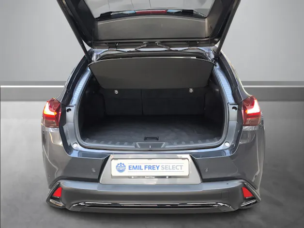 Lexus UX 300h F-Line