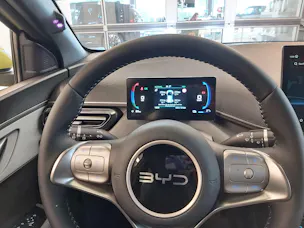BYD Dolphin Surf Comfort