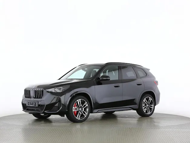 BMW X1 18d sDrive paddles