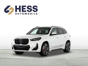 BMW X1 20i sDrive paddles