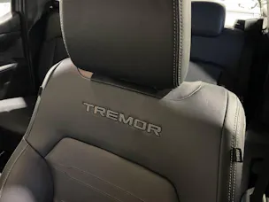 Ford Ranger D-Kab. Pick-up 2.0 EcoBlue 4x4 205 PS Tremor