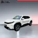 Toyota Urban Cruiser Premium AWD