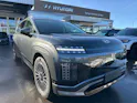 Hyundai Ioniq 9 110kWh Vertex Caligraphy 4WD