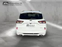 Ford Kuga 2.0 EcoBlue Hybrid ST-Lin