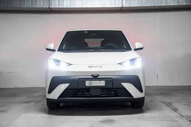 BYD Dolphin Surf Boost