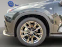 Lexus NX 450h+ F-Sport