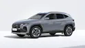Hyundai Tucson 1.6 T-GDi HEV Amplia 2WD